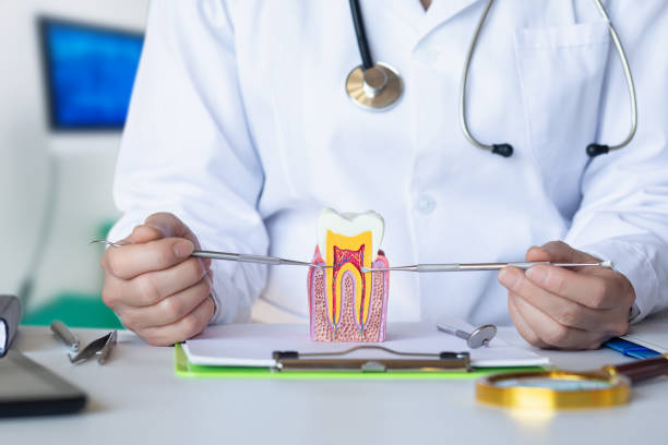 Best Dentist for Tooth Abscess  in Benld, IL